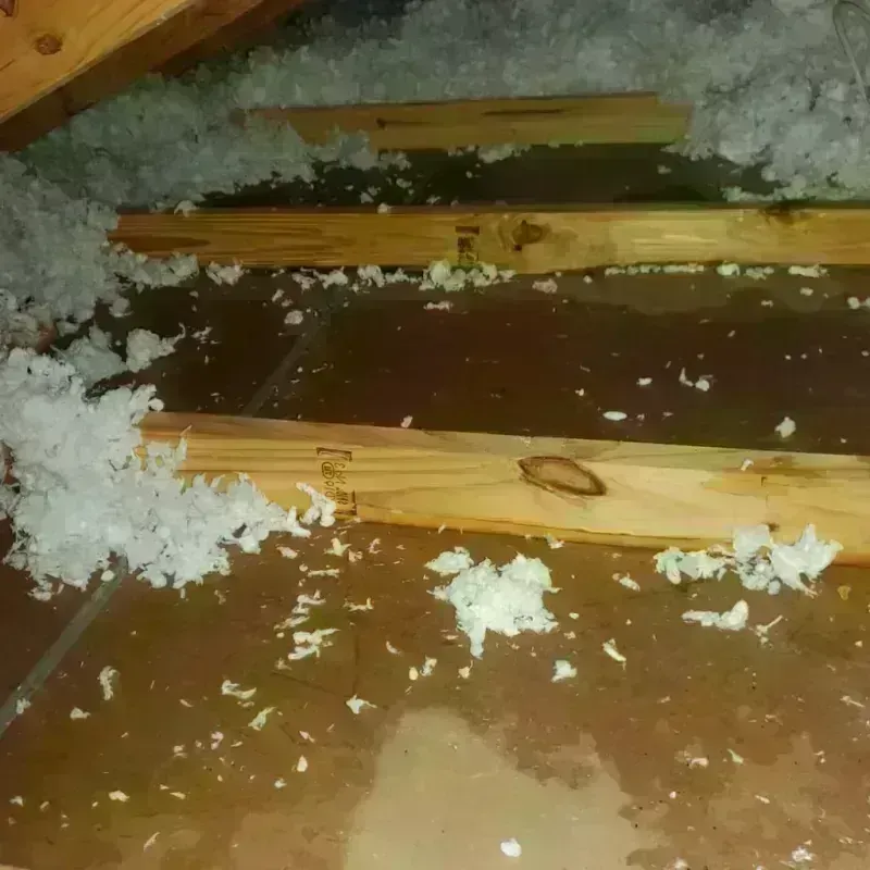 Attic Water Damage in Pinal County, AZ