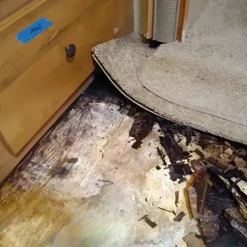 Best Wood Floor Water Damage Service in Pinal County, AZ